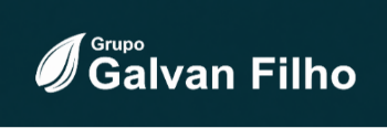 GRUPO GALVAN FILHO LOGO PRETO.png
