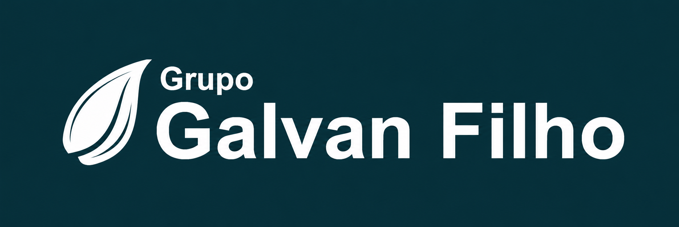 GRUPO GALVAN FILHO LOGO PRETO.png