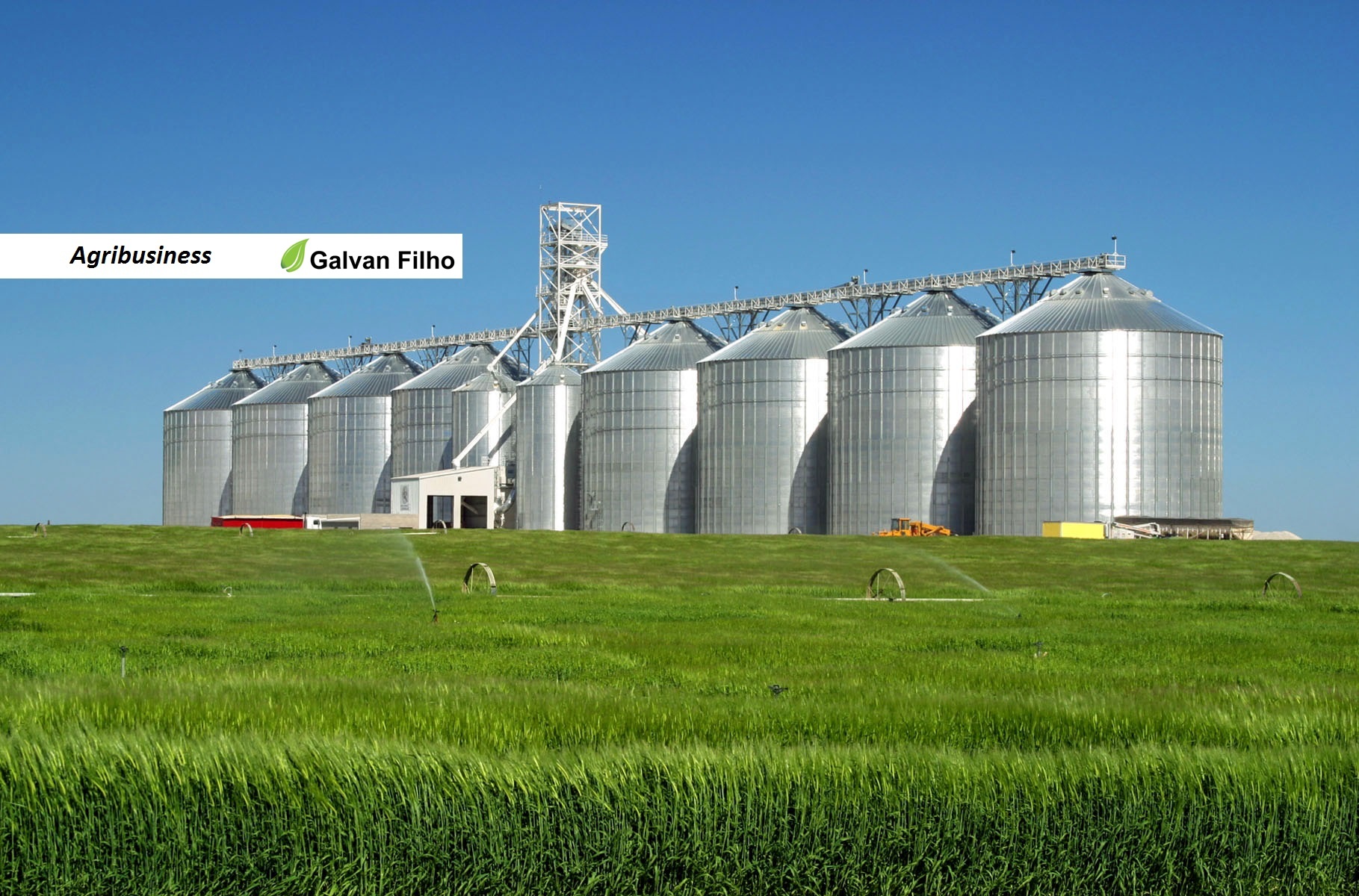 GALVAN FILHO AGRI.jpg